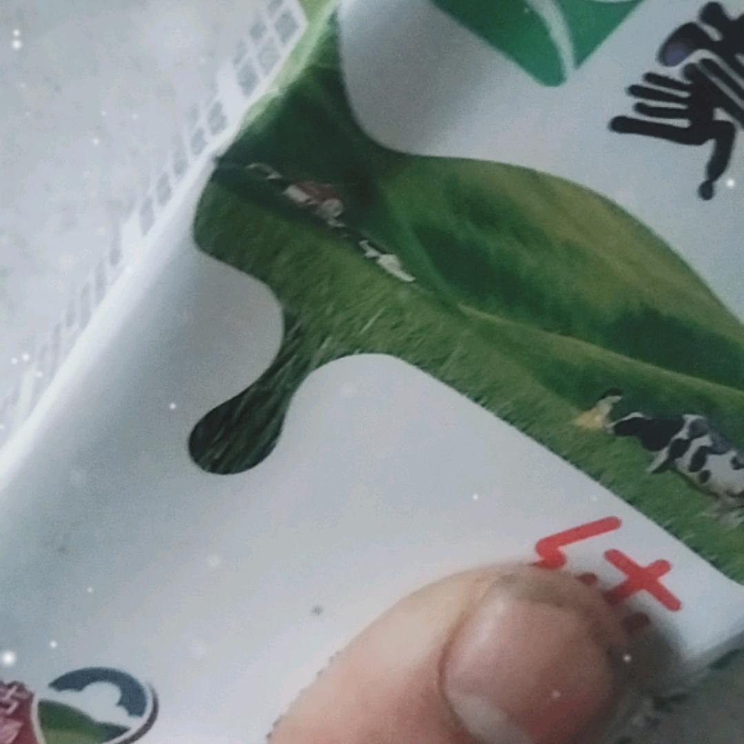 96年的渤海堂子弟