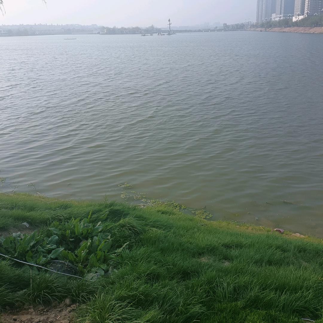 风中的承诺#