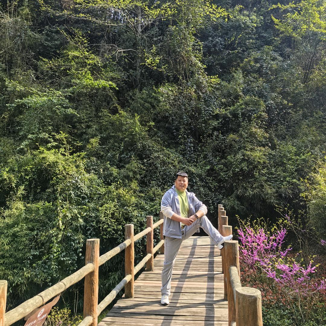 清风聴禅，玉京子