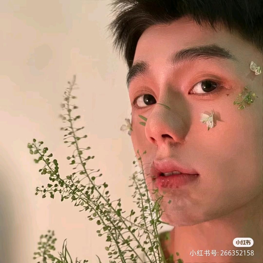 专吃香菜（减脂版）之不拿筷子🥢