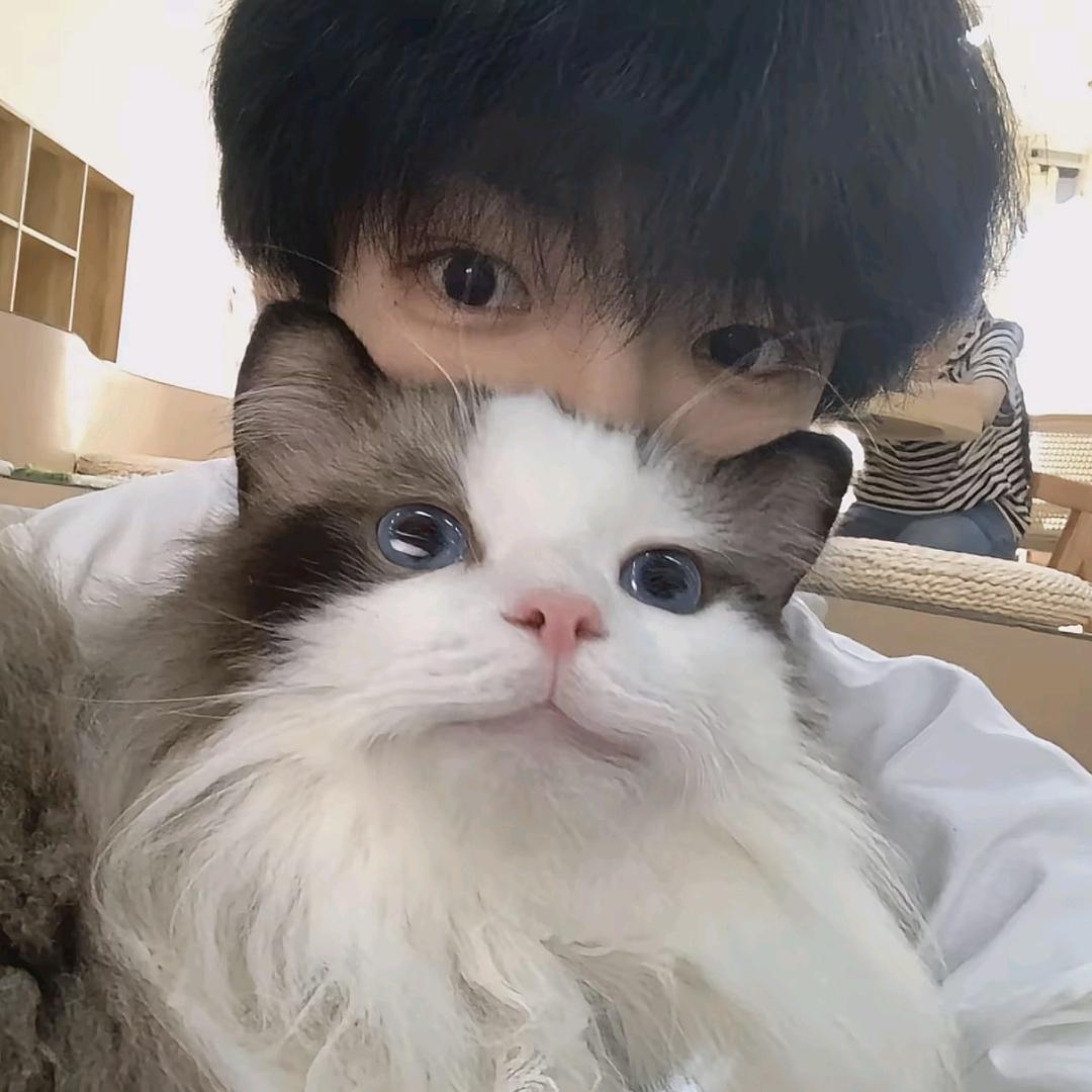 小崽.