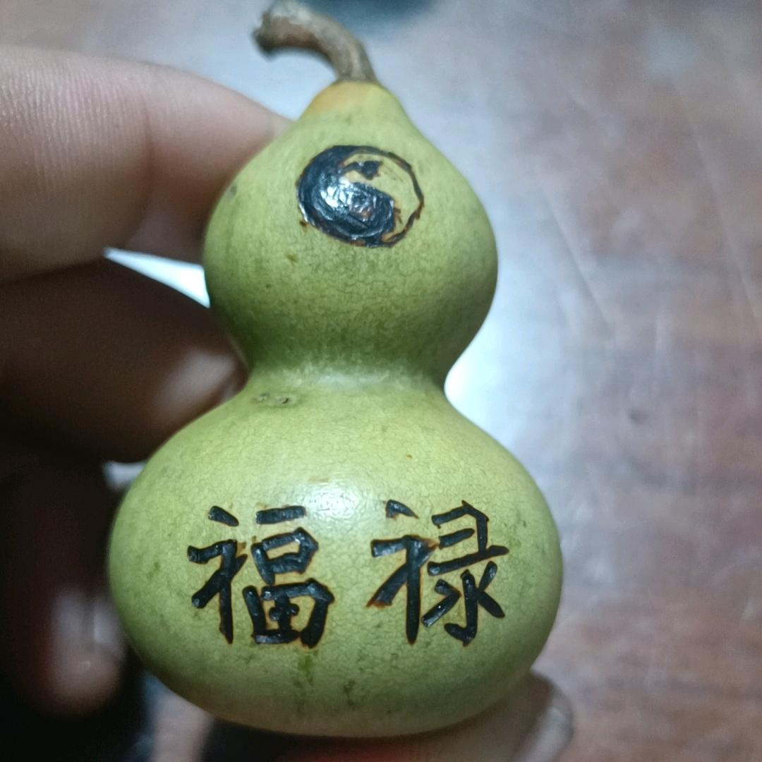《随遇而安》