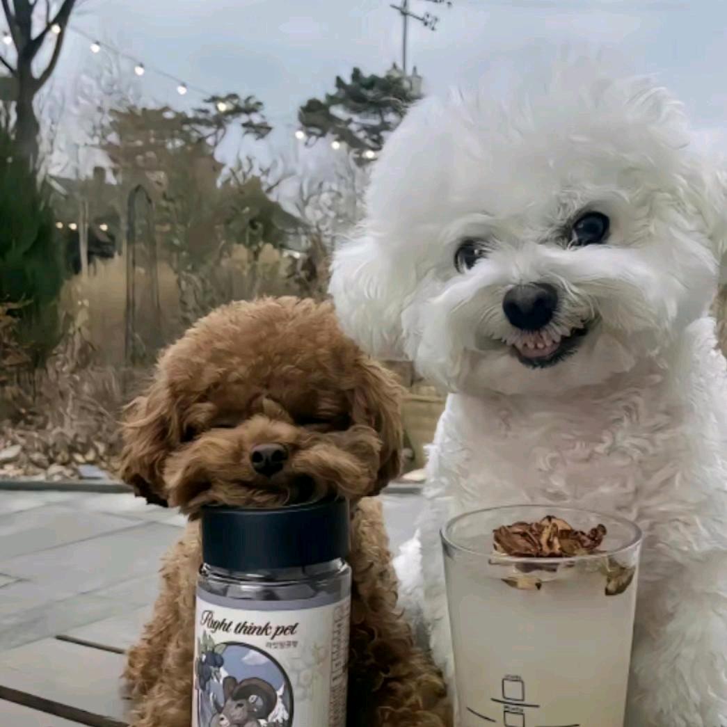 幼稚的成熟