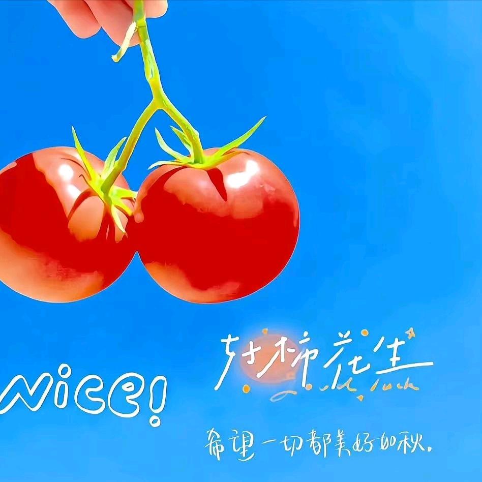 梦醒