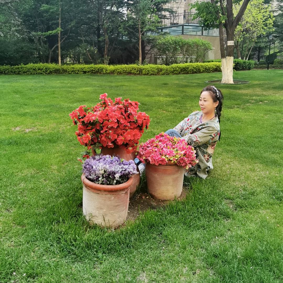 大梅姐