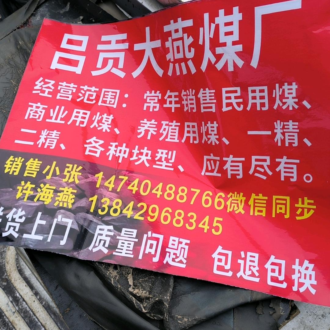 绥中县吕贡煤厂