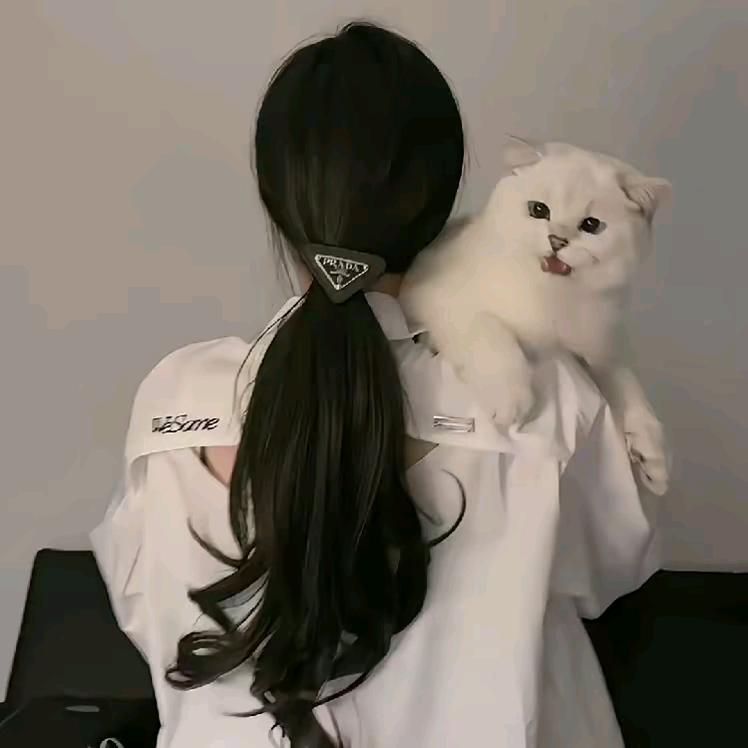 明月清风