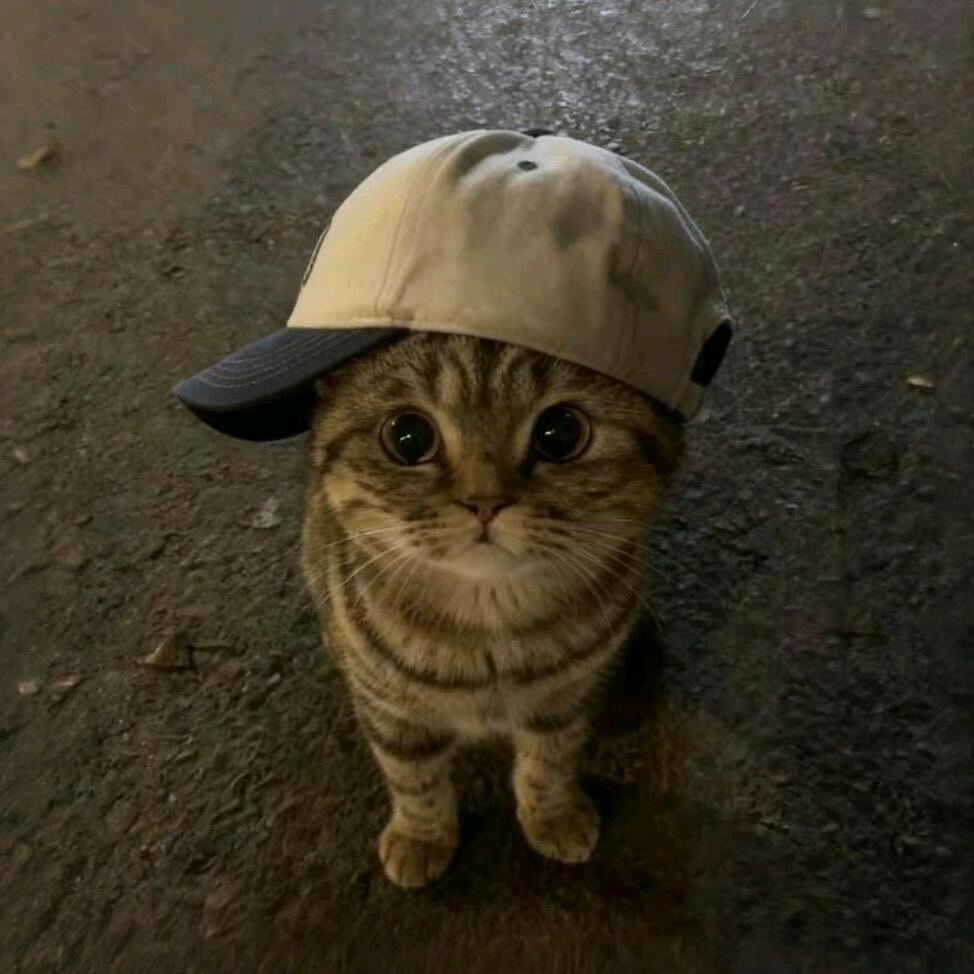 眠.