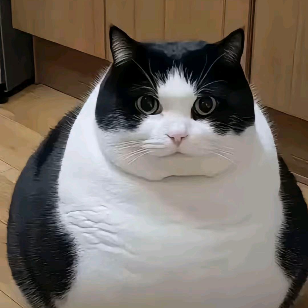 ✺◟(∗❛ัᴗ❛ั∗)◞✺【魂】
