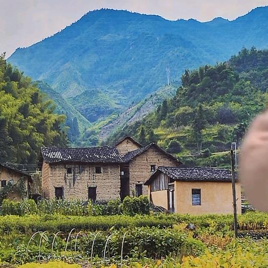 林中小屋