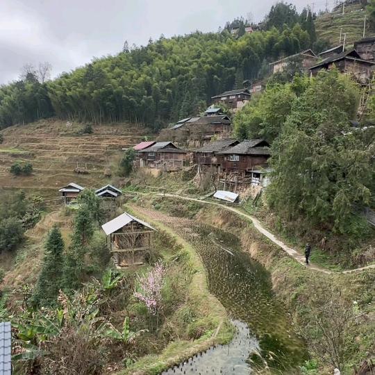 zz山山