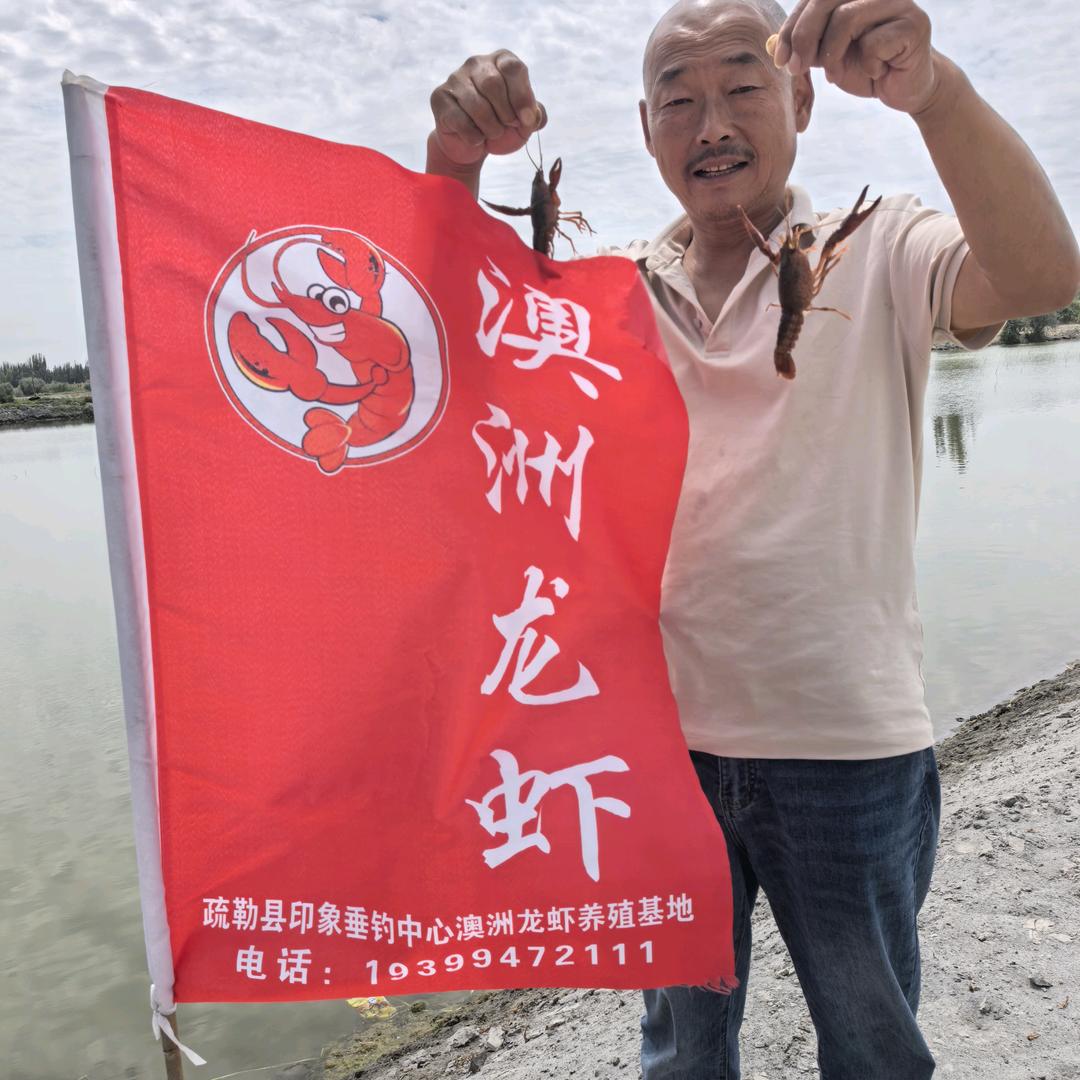 喀什澳洲龙虾养殖基地