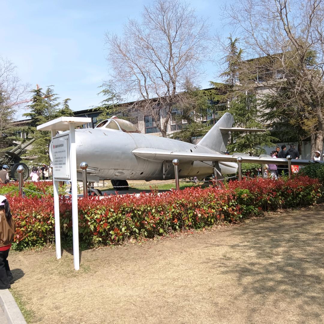 都是骗子何来感情