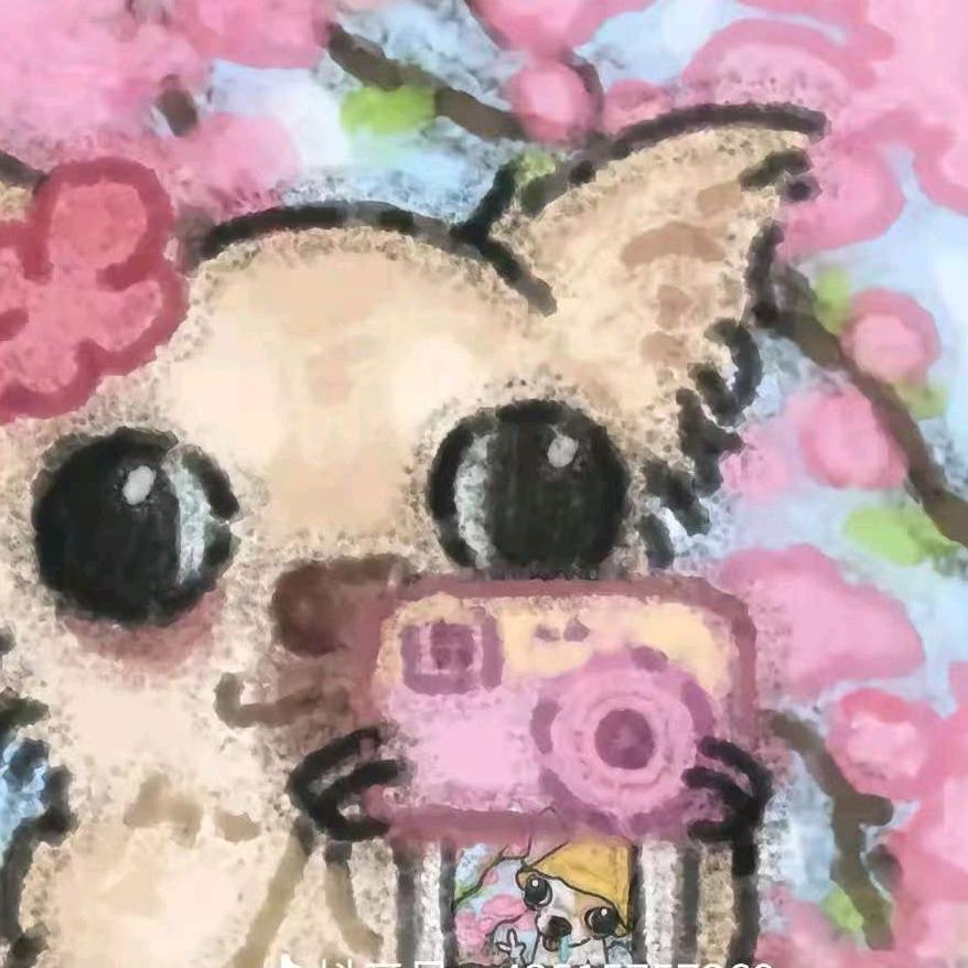 世界超级无敌母蟑螂🪳