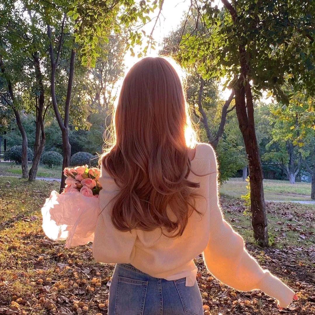 柿柿顺意🍁