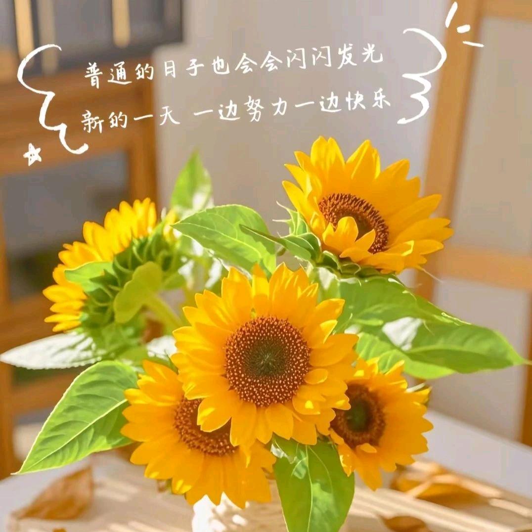 (◍•ᴗ•◍)❤最熟悉（陌生(人 •͈ᴗ