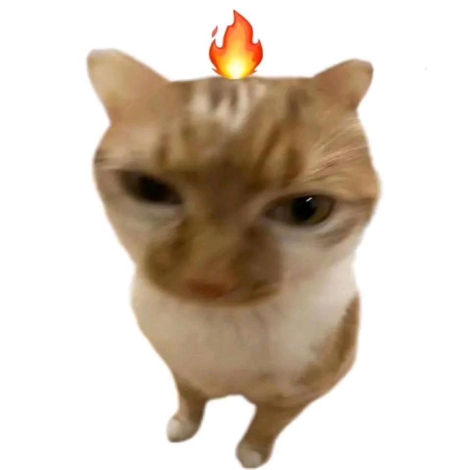 白山茶