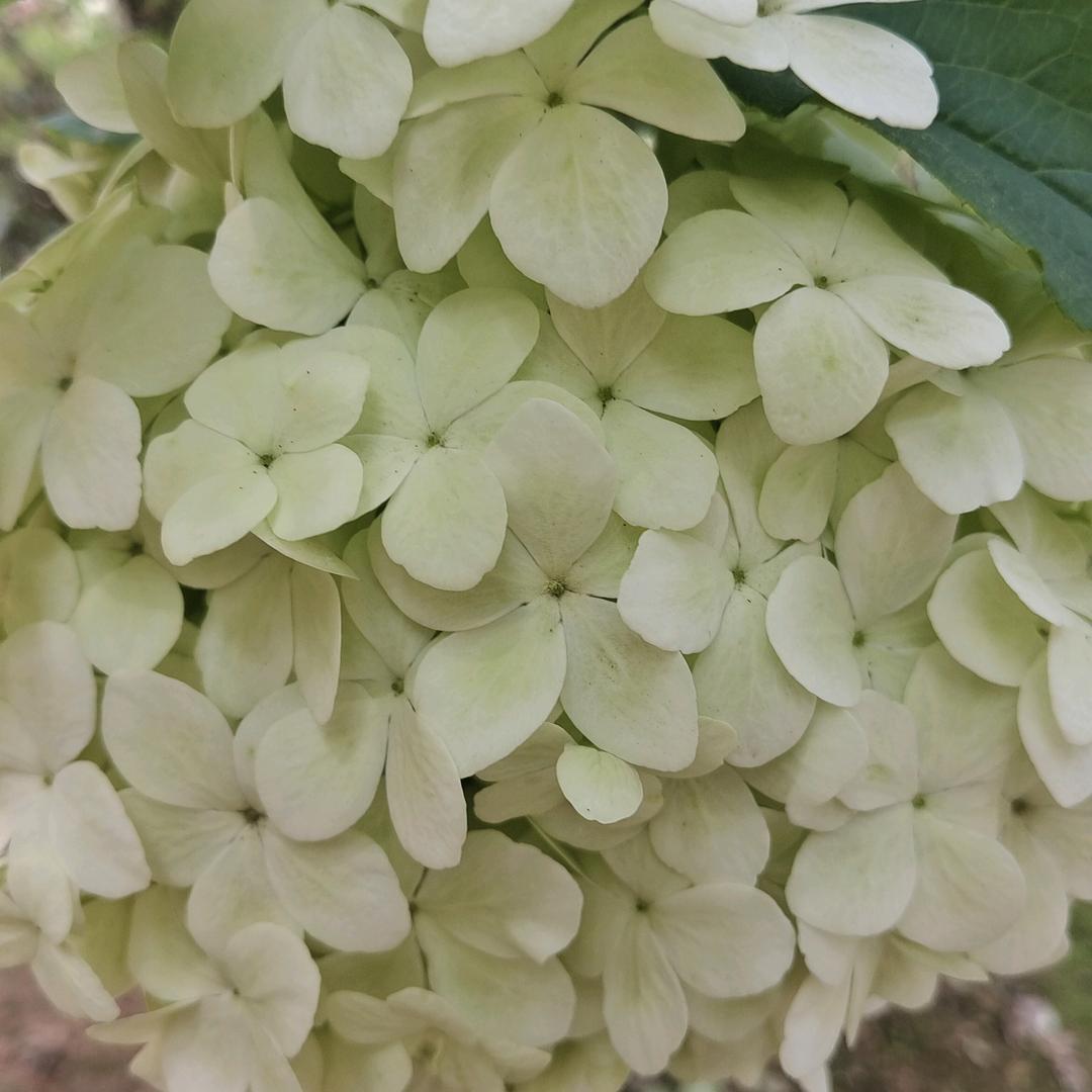 天佑柒柒