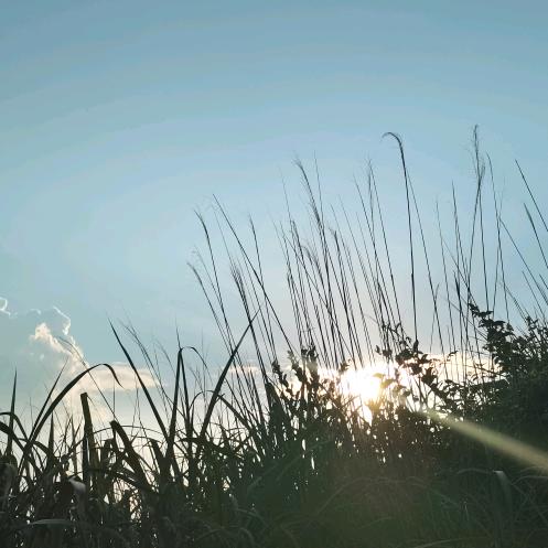 开心就好！！！