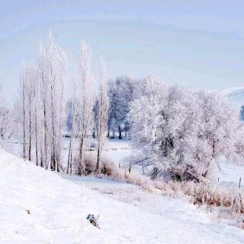 💔ꦿ໊冰唐᭄🕊雪梨᭄ꦿᩚ٭