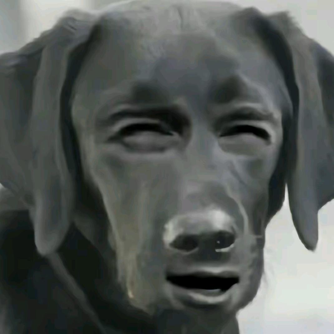 多哈哈