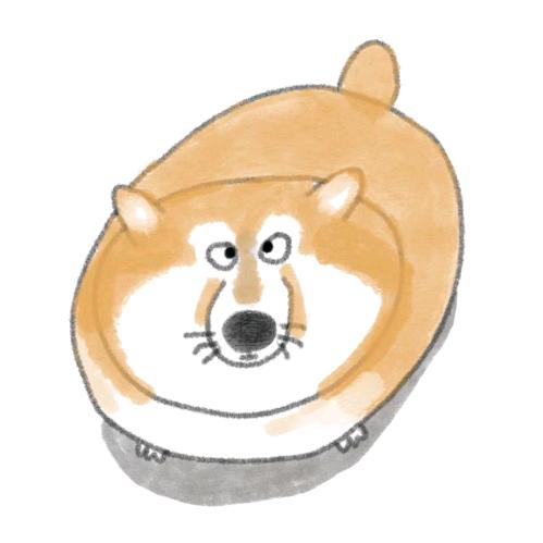 大木头像