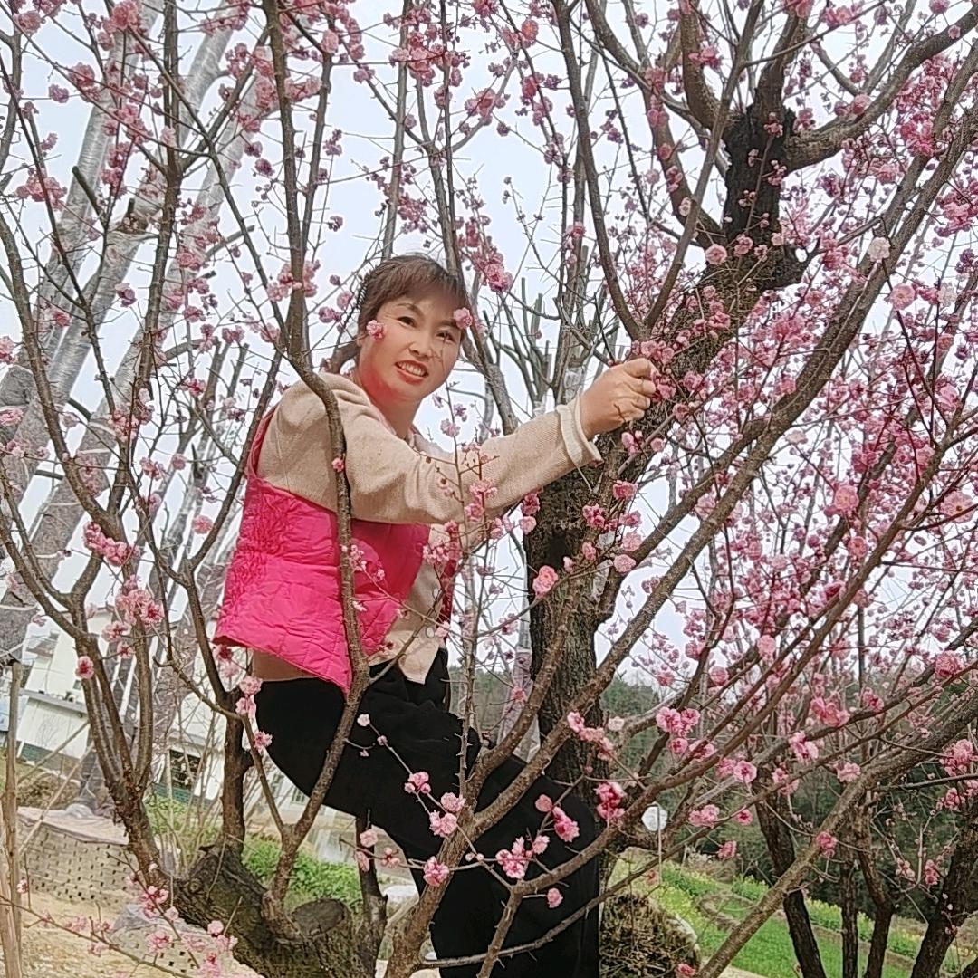 快乐女人花