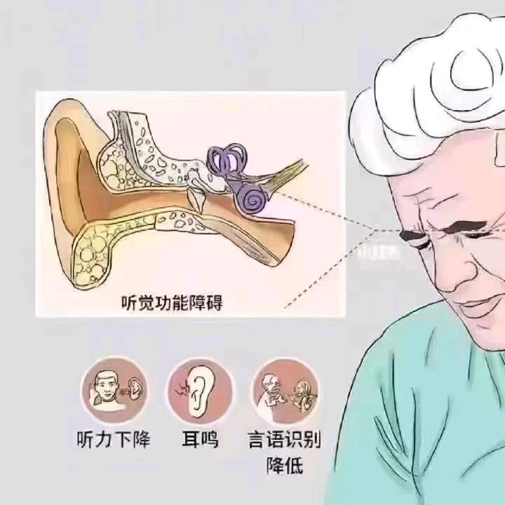 万聪听力助听器(天长建设东路店)