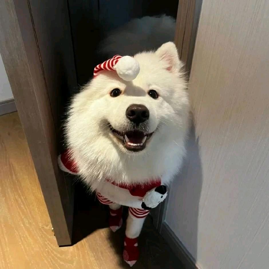 王小兵