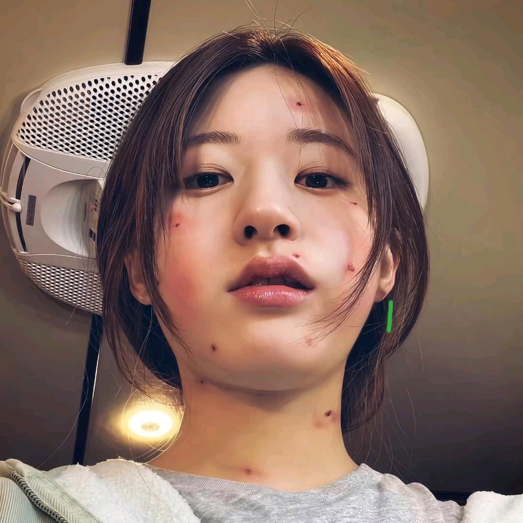 一只鱼