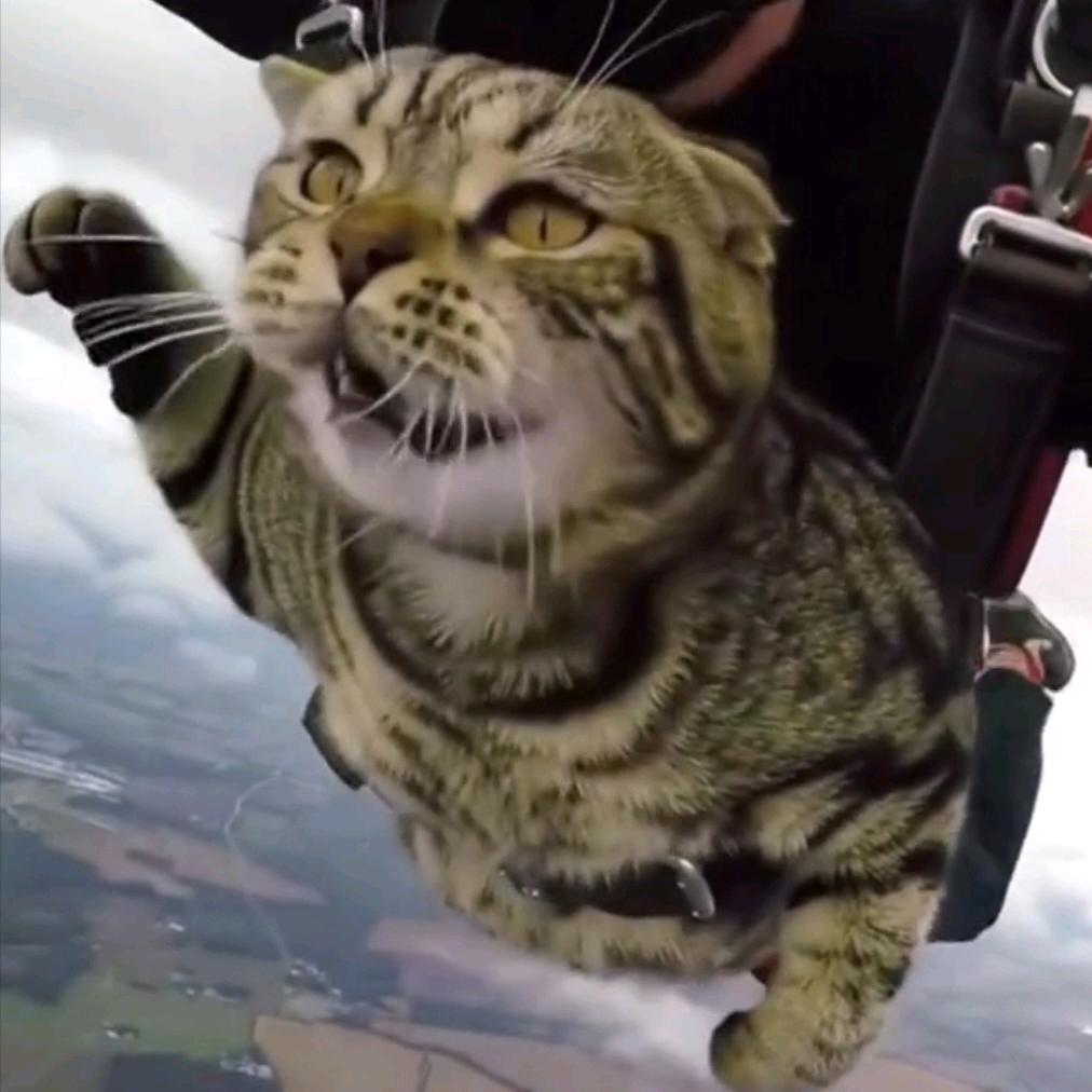 你今天骑校园跑了吗