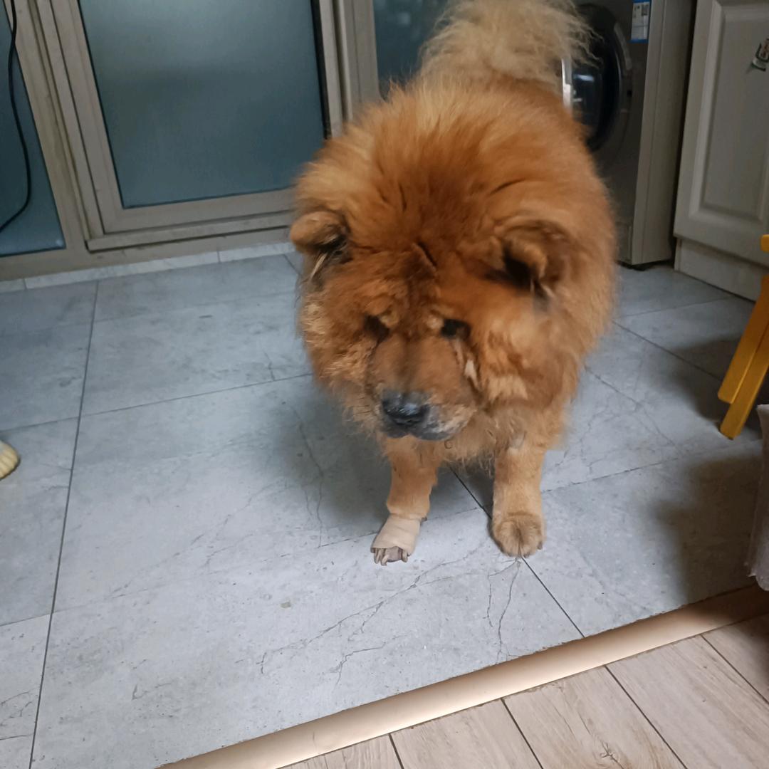 ,,人生苦短 倒满倒满