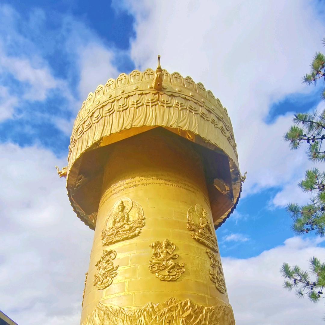 雪莲花