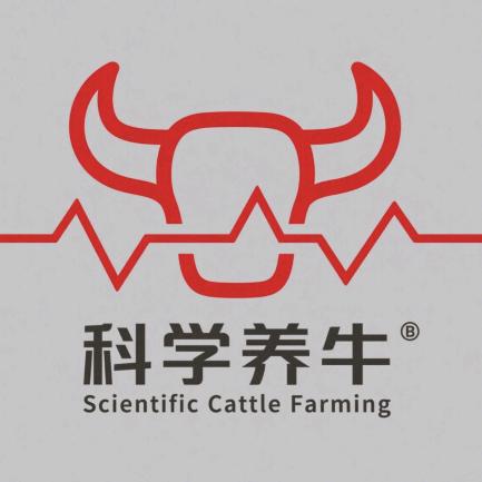 科学养牛