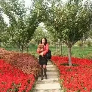 坦然