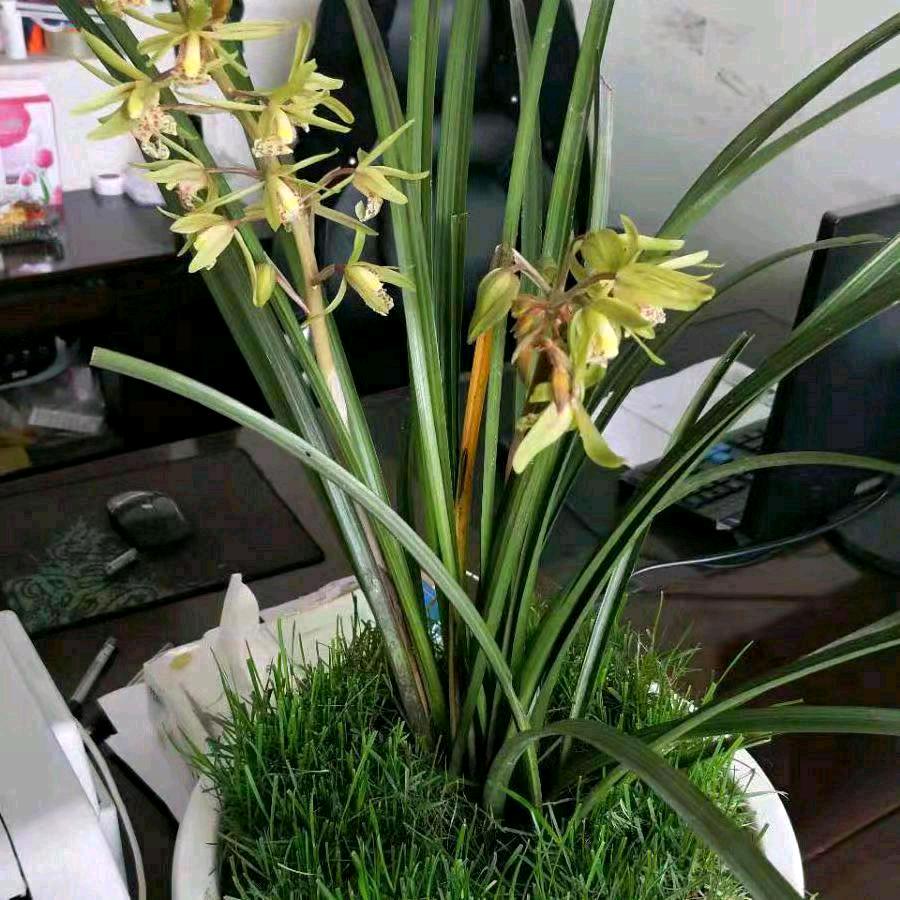 开开心心每一天