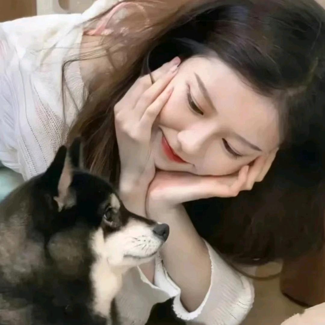 梦珂