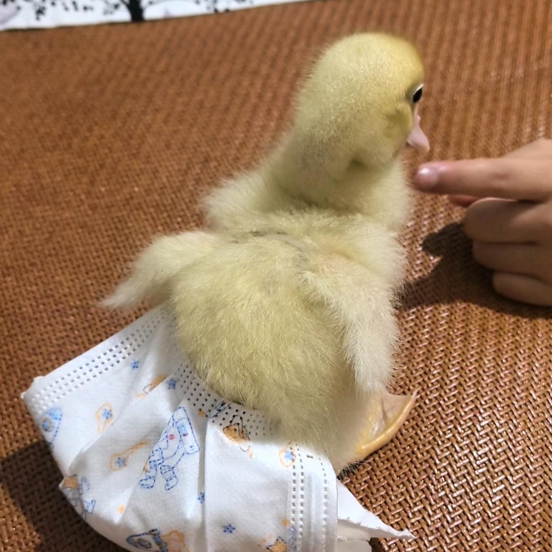 来财来财！💰💰💰