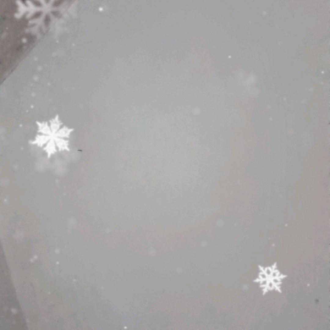 幸运草