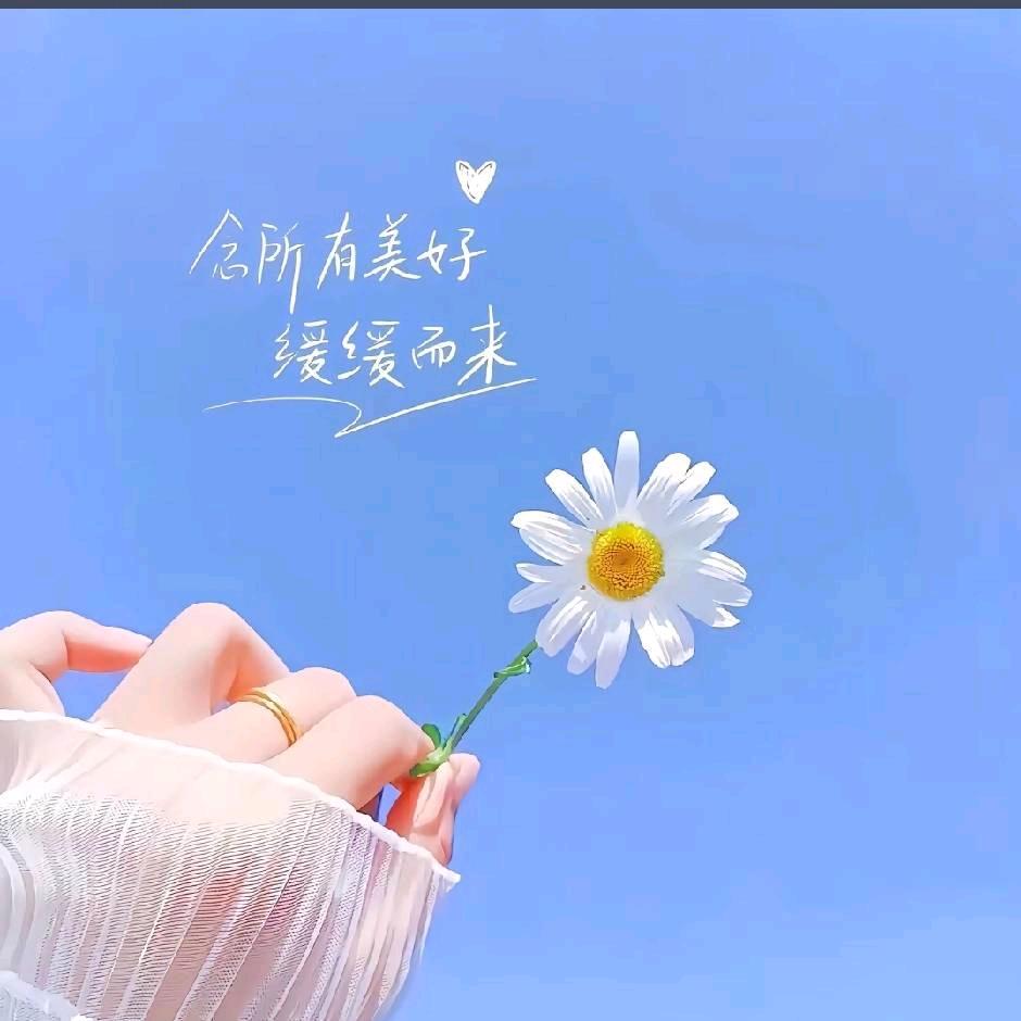 有钱花🌸