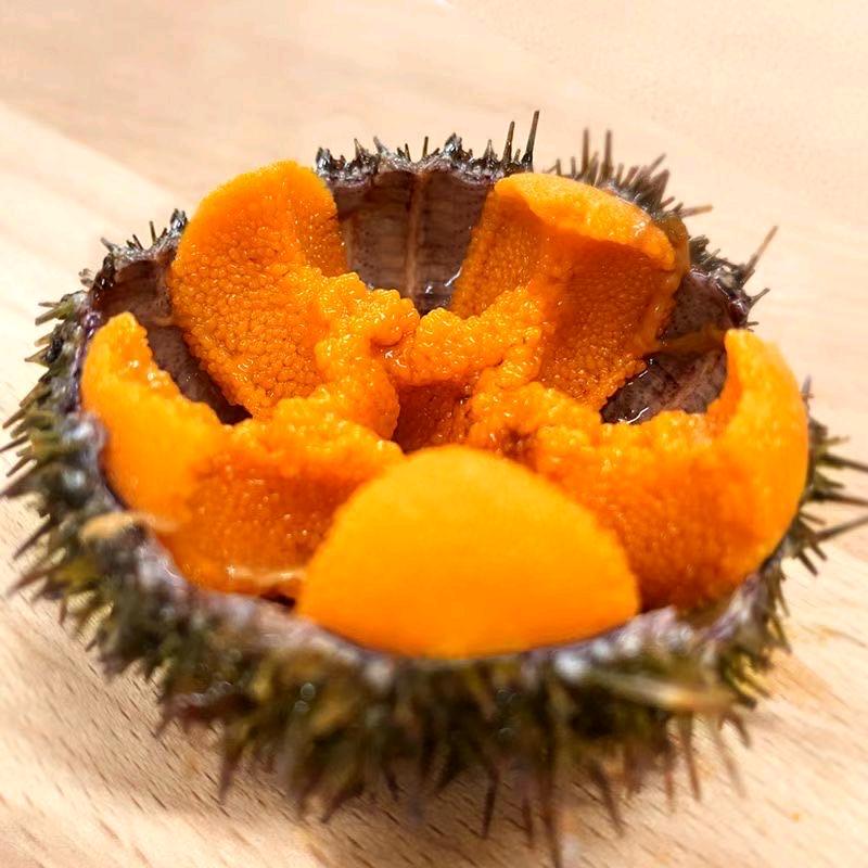 大洋岛官方账号