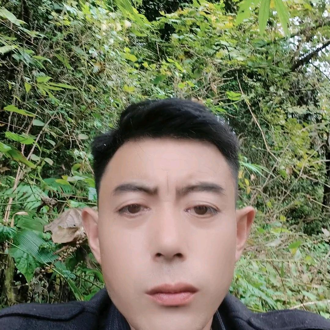 放羊哥