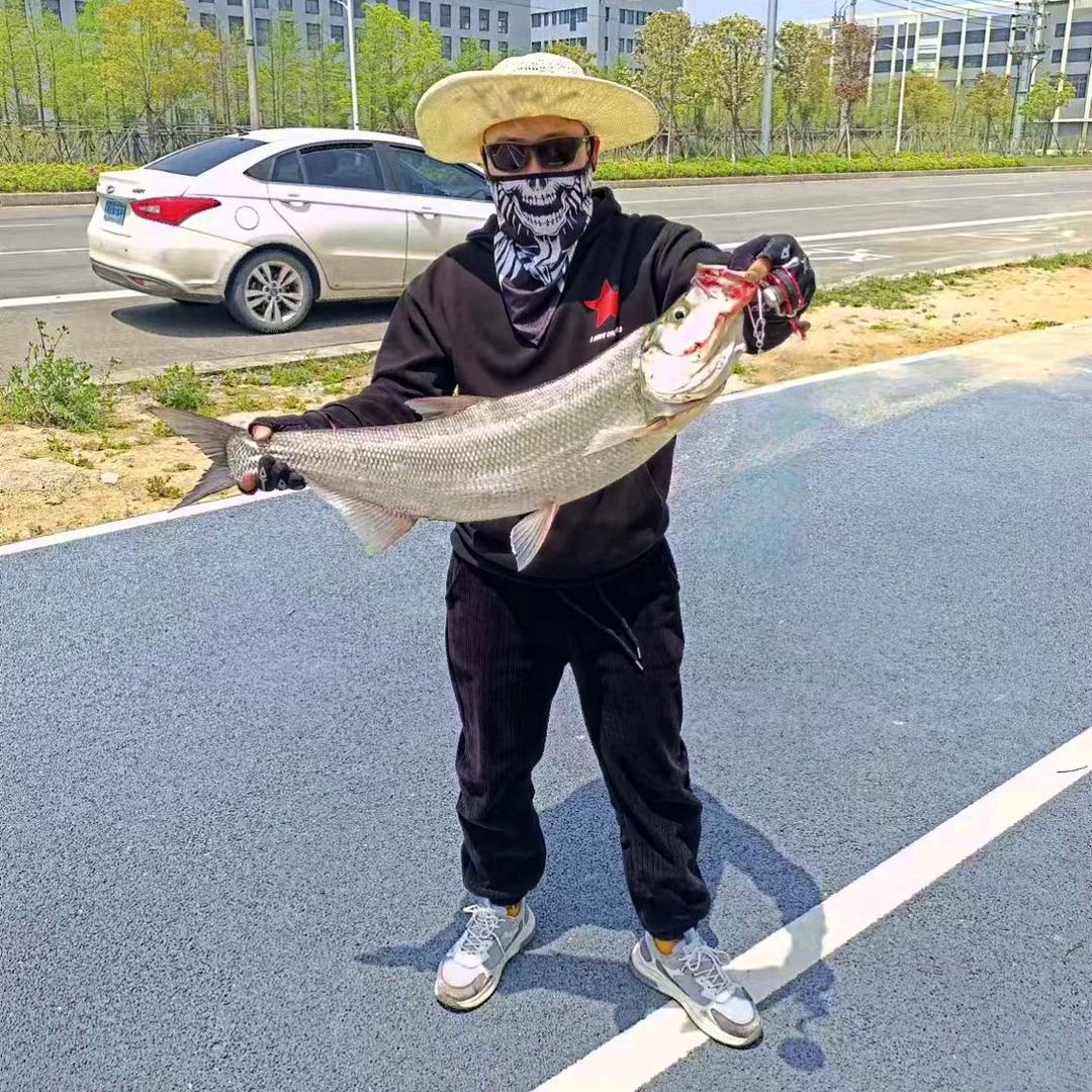 路亚先天圣体🐠