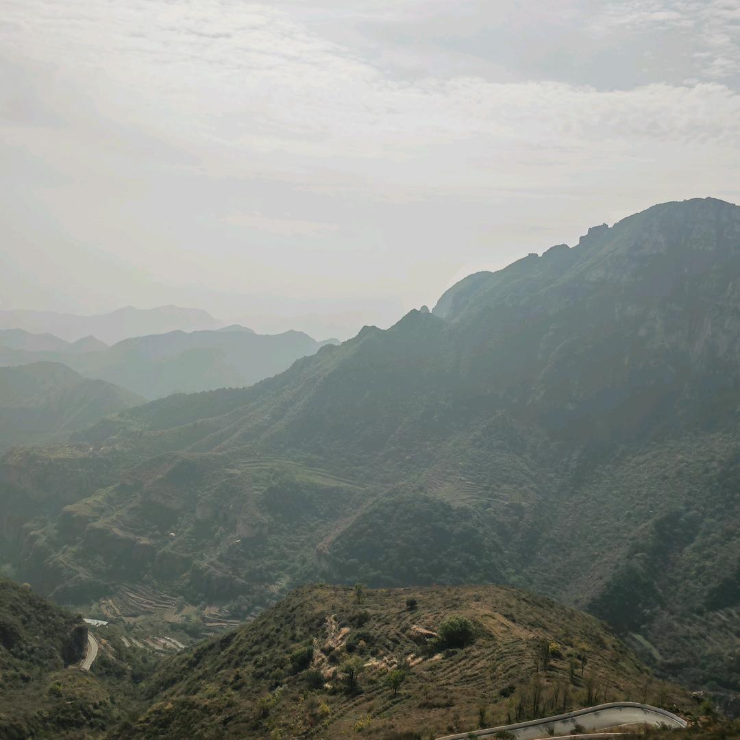 向风一样自由