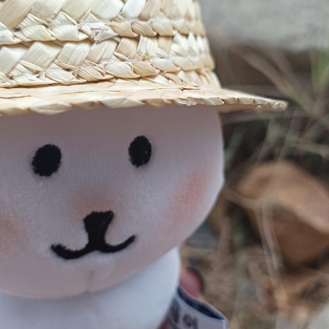 京都把妹王