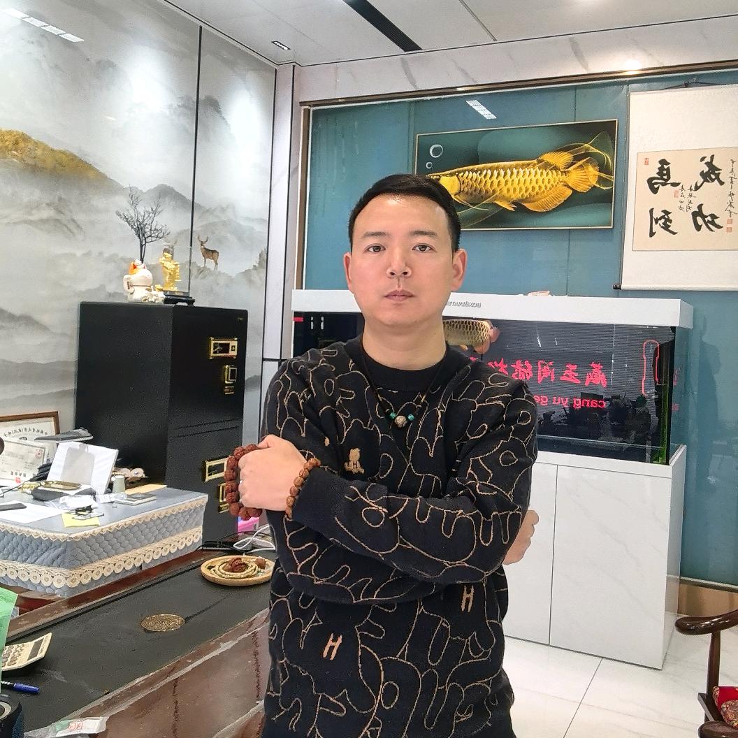 龙哥绿松石鉴定