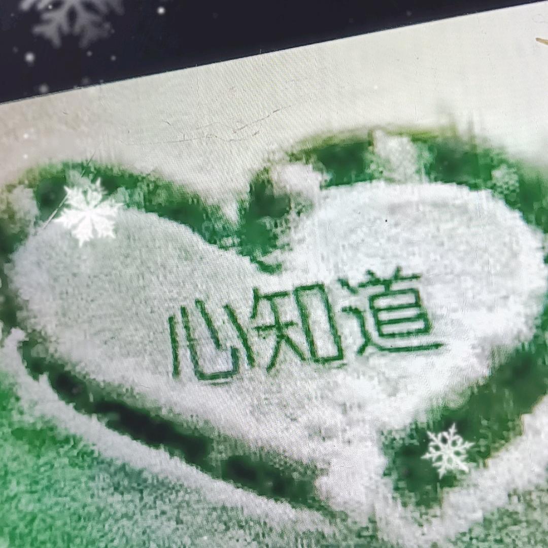抓不住你的心