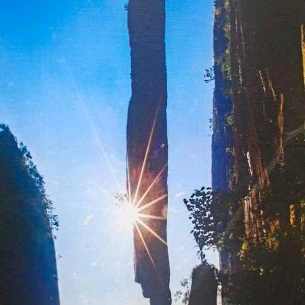 悦