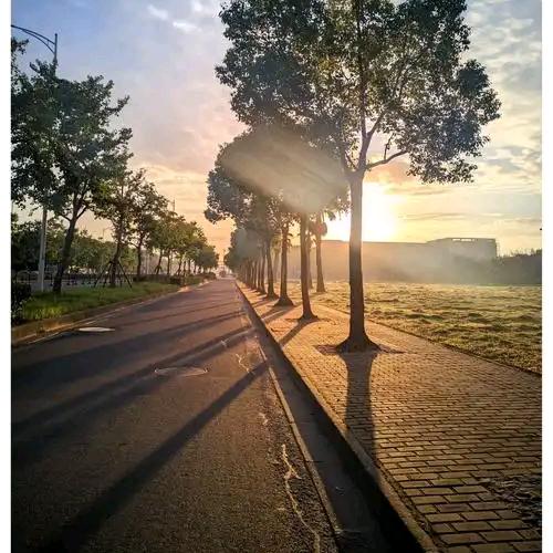 说陪你到不要我的那天，我做到了。