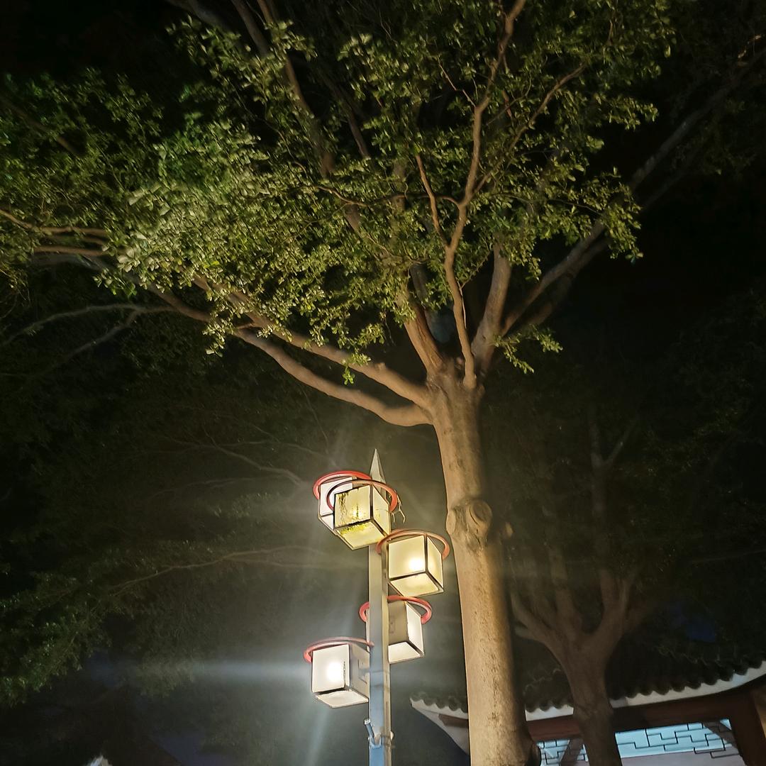 ᝰꫛ伟涛